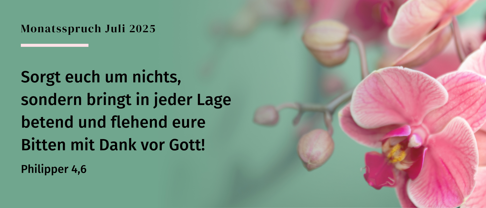 Monatsspruch Juli