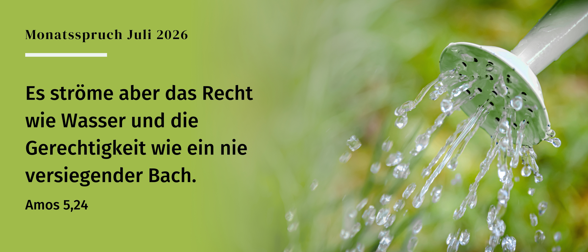 Monatsspruch 07/2026: Amos 5,24
