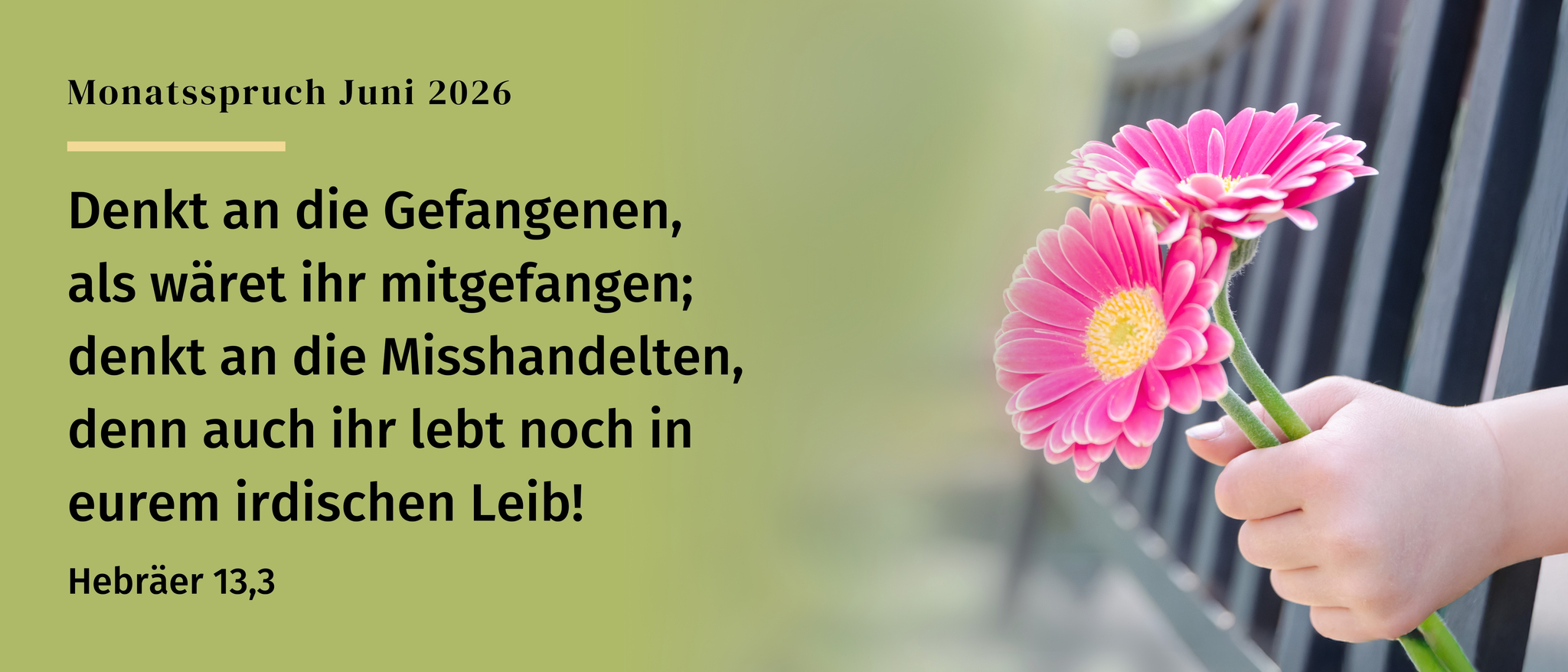 Monatsspruch 06/2026: Hebräer 13,3