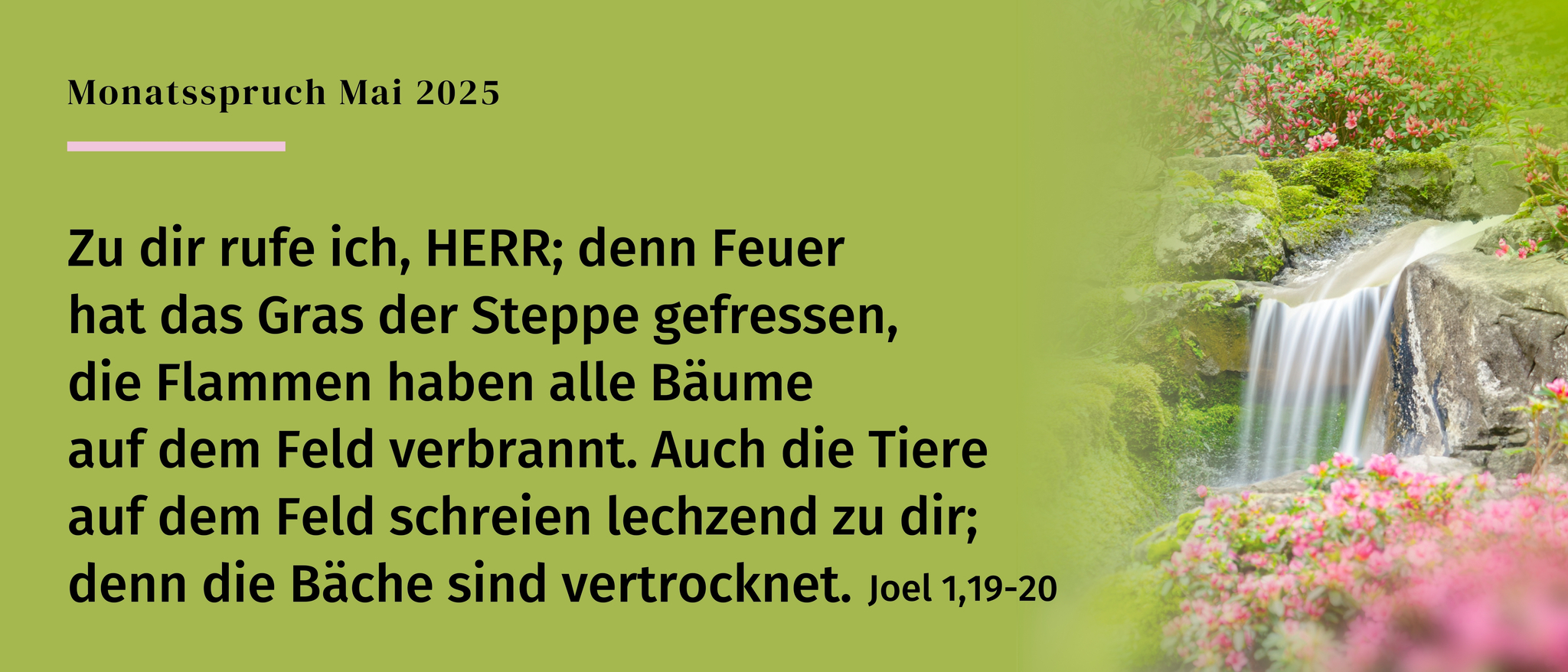 Joel 1,19-20